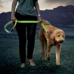 Nite Ize NiteDog Rechargeable LED Dog Leash -Hydro Flask Shop 007ca6ca b76f 4f3c 8e33 91d1d73c1150