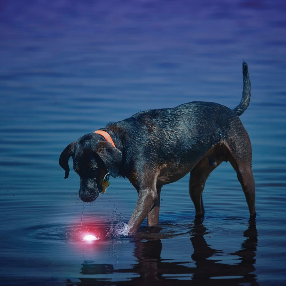 Nite Ize GlowStreak Dog Ball 6 Nite Ize GlowStreak Dog Ball - Image 4