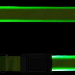 Nite Ize NiteDog Rechargeable LED Dog Leash -Hydro Flask Shop 15f4cb4e 08d8 4887 bb6b bc3abee8e30c