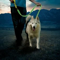 Nite Ize NiteDog Rechargeable LED Dog Leash -Hydro Flask Shop bbc7446a 6454 4edf 8fe3 223206d031dc
