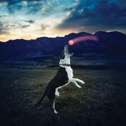 Nite Ize GlowStreak Dog Ball 16 Nite Ize GlowStreak Dog Ball -Hydro Flask Shop dd88e040 2545 4f43 88f0 b8ff629eb75c