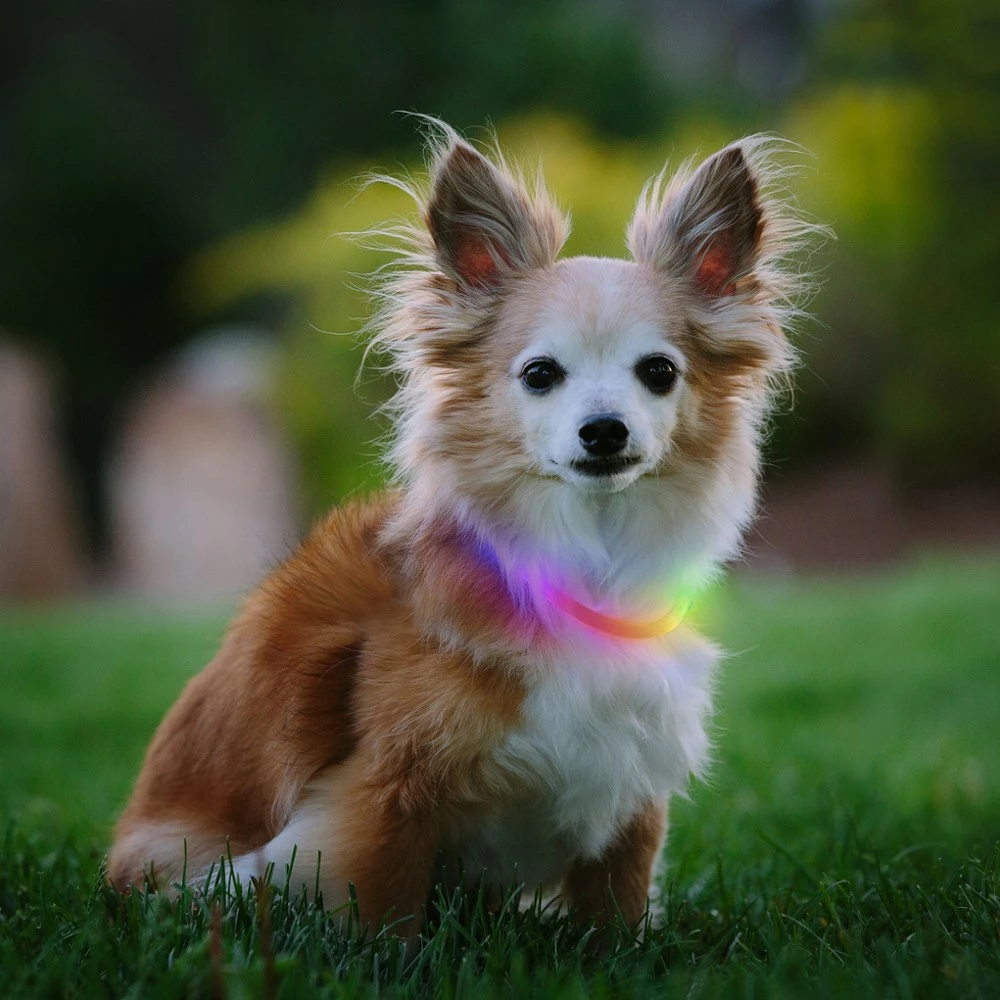 Nite Ize NiteHowl Mini Rechargeable LED Safety Necklace - Disc-O Select 10 Nite Ize NiteHowl Mini Rechargeable LED Safety Necklace - Disc-O Select - Image 8